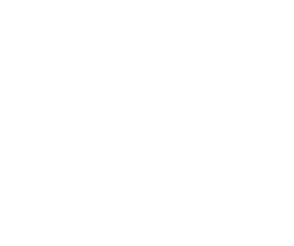 Case Method Institute for Education and Democracy